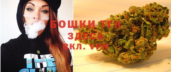 индика Магадан